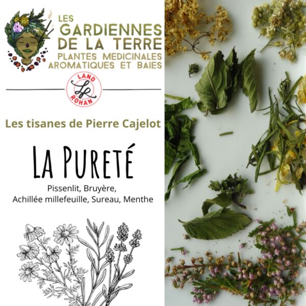Tisane La Pureté