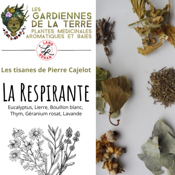 Tisane la Respirante