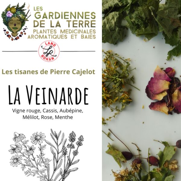 Tisane la Veinarde