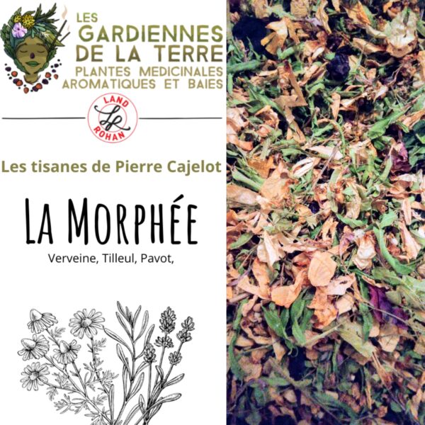 Tisane la Morphée