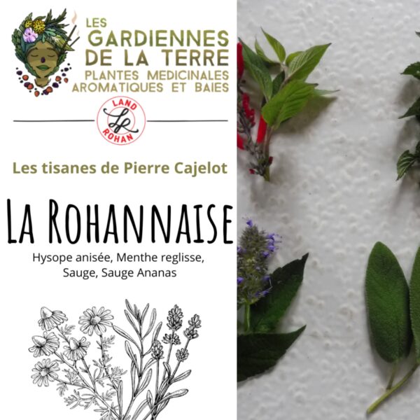 La Rohannaise
