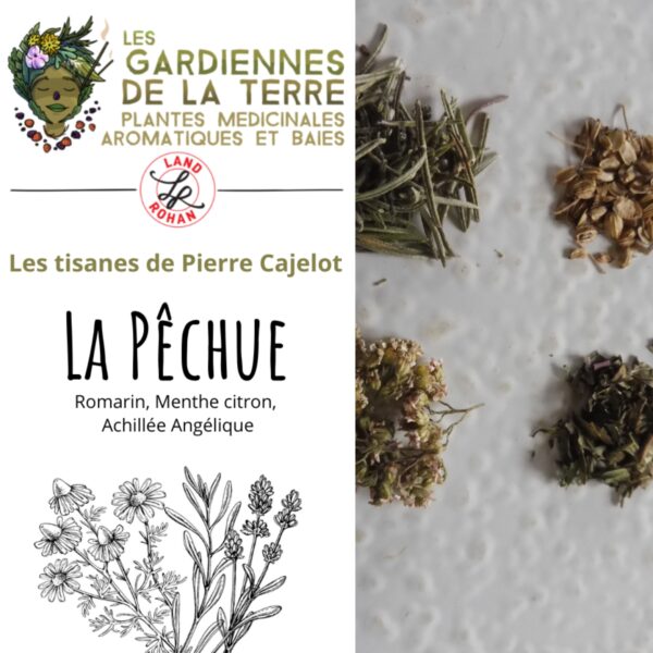 Tisane la Pêchue