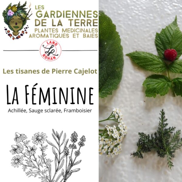Tisane la Féminine